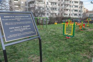 Home Drinka Pavlovic new playground
