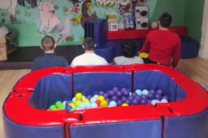 Donation to the Home for Children and Youth “Vera Blagojevic”, Banja Koviljaca