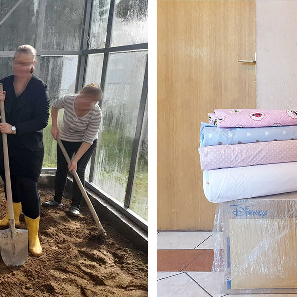 WOMEN'S SAFE HOUSES RECEIVE ASSISTANCE FROM CROWN PRINCESS AND LIFELINE CHICAGO