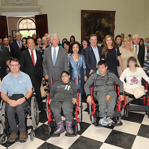 CROWN PRINCESS MESSAGE - INTERNATIONAL DAY OF PERSONS WITH DISSABILITIES